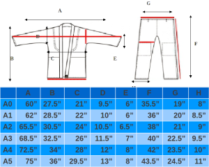 Gi Size Chart